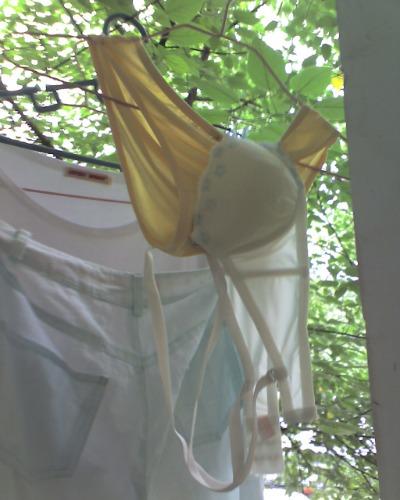 2007050009.jpg
