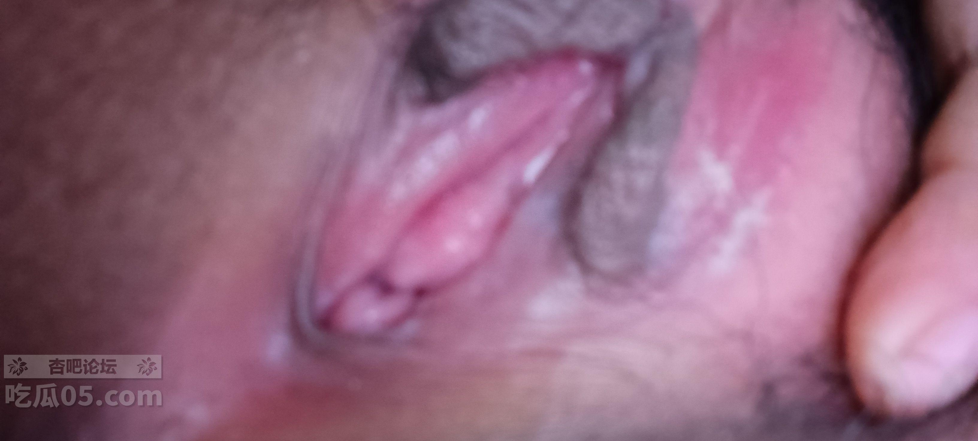 IMG20241013093822.jpg