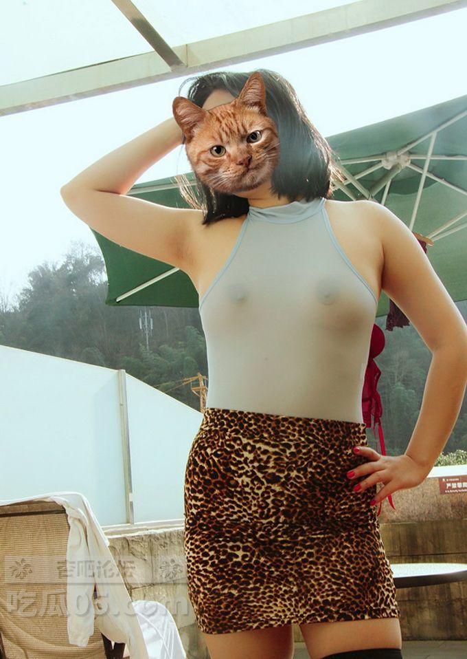 00452319.jpg