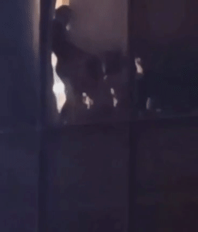 4.gif