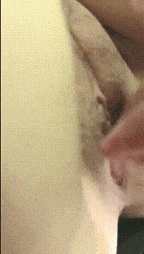 d0304 (2).gif